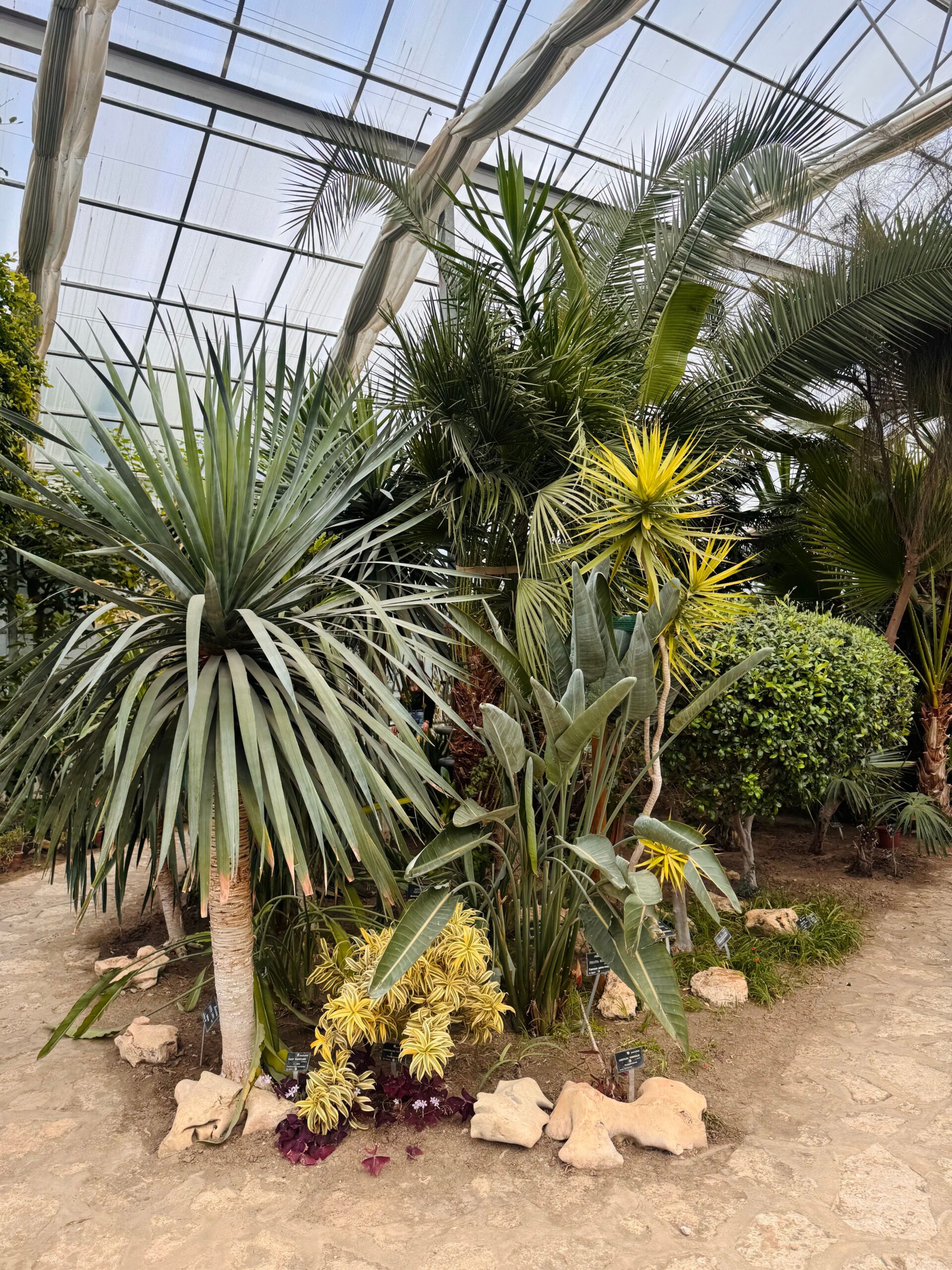 Horticulture equipment in use
